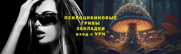 mdma Богородицк