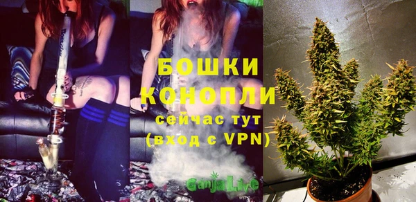 дживик Бронницы