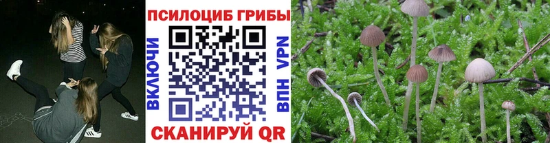 Псилоцибиновые грибы Psilocybine cubensis  где продают   Долгопрудный 